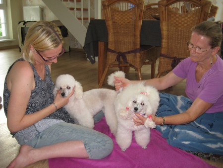 Nadine & Stormy & Dorly & Milka (děkujeme Mirkovi za foto)